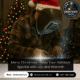 Merry Christmas – May Your Holidays Sparkle with Joy and Warmth